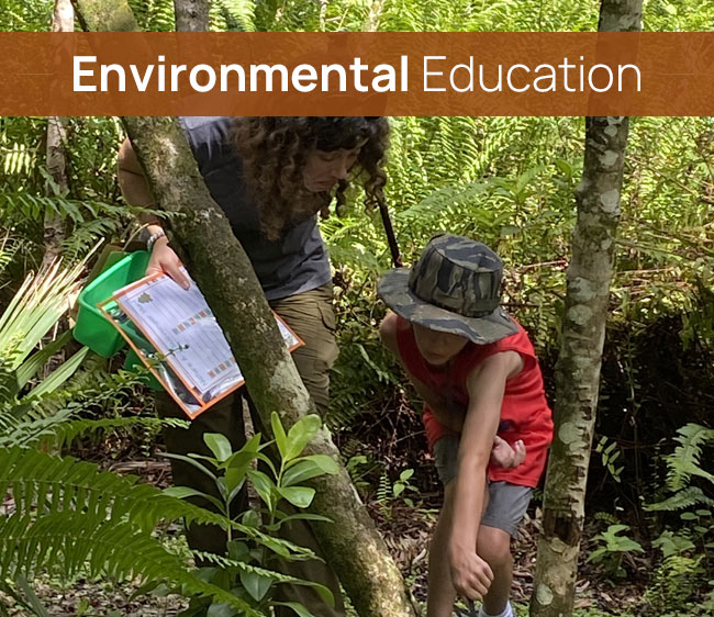 Environmental Education at Cypress Cove Landkeepers | Protecting Florida's Natural Treasures