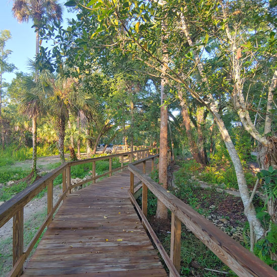 Walking path and nature trails near the Gore Nature Education Center | Donate to Cypress Cove Landkeepers